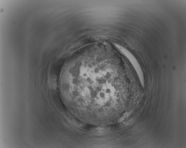 X0000062850323200601272048