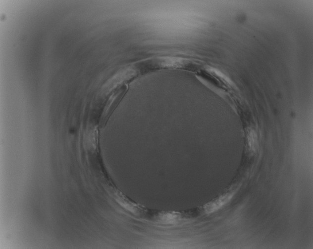 X0000062850325200601272048