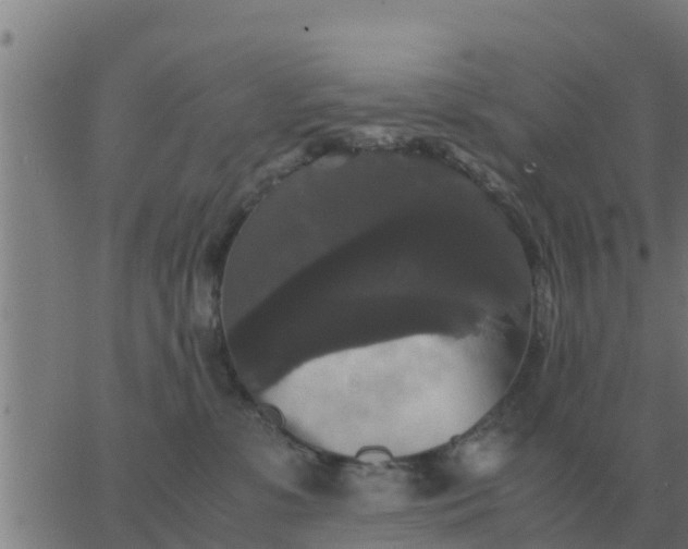 X0000062850331200601272047