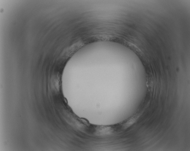 X0000062850334200601272047