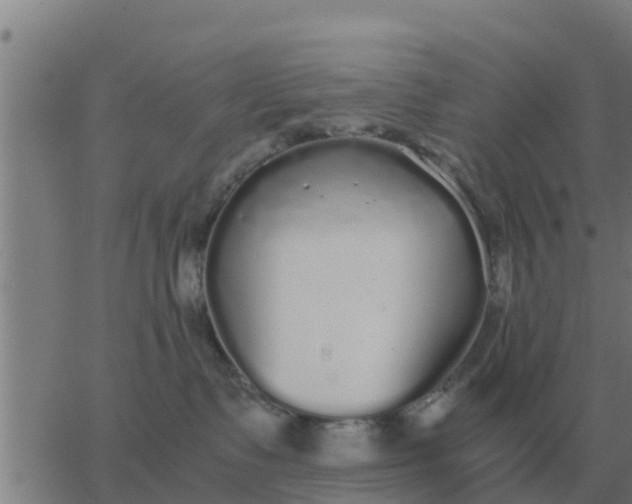 X0000062850335200601272047