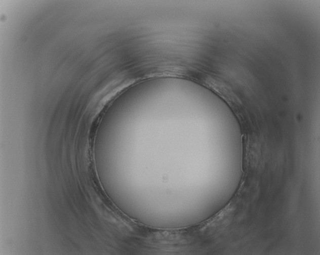 X0000062850338200601272047