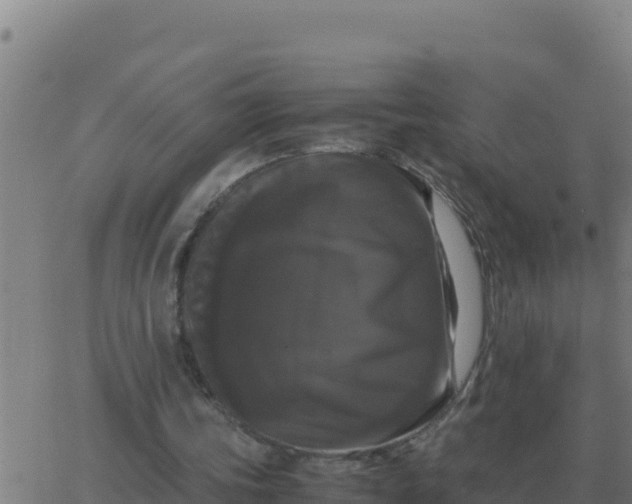 X0000062850339200601272047