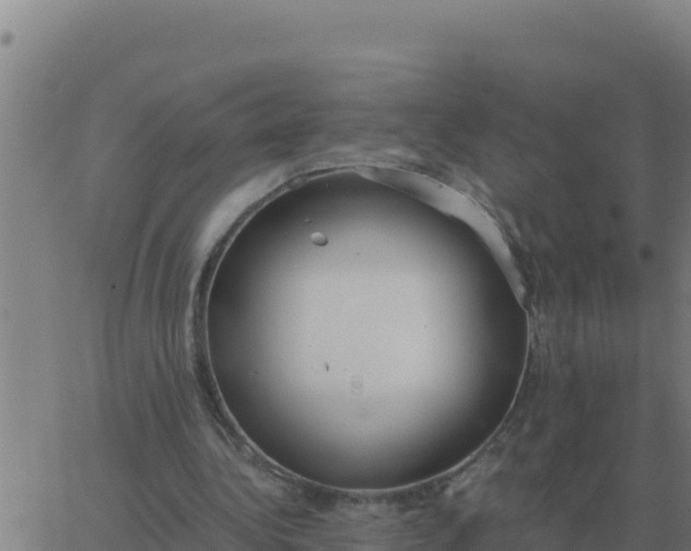 X0000062850340200601272047