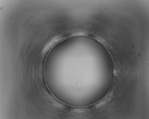 X0000062850341200601272047