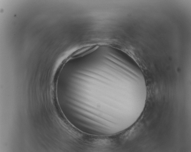 X0000062850342200601272047