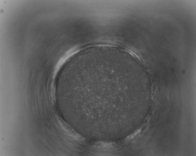 X0000062850343200601272047