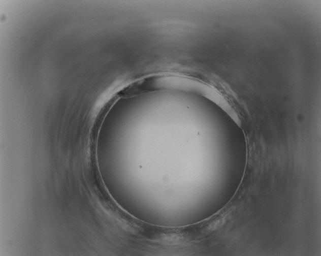 X0000062850344200601272047