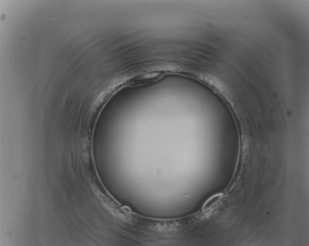 X0000062850345200601272047