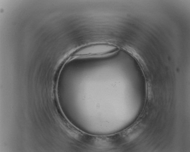 X0000062850346200601272047