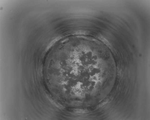 X0000062850347200601272047