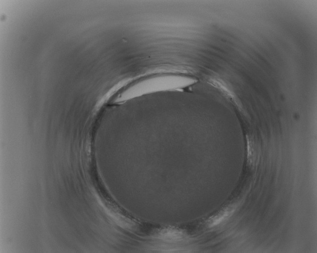 X0000062850348200601272047