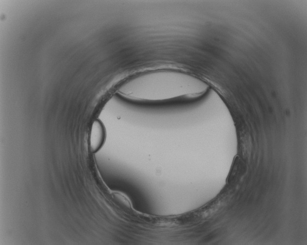 X0000062850350200601272047