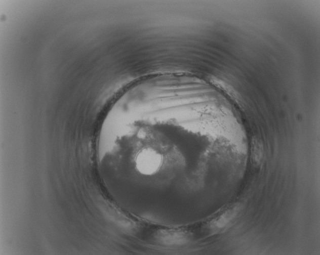 X0000062850351200601272047