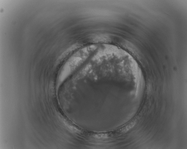 X0000062850353200601272047