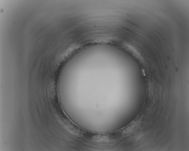 X0000062850354200601272047