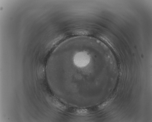 X0000062850355200601272047