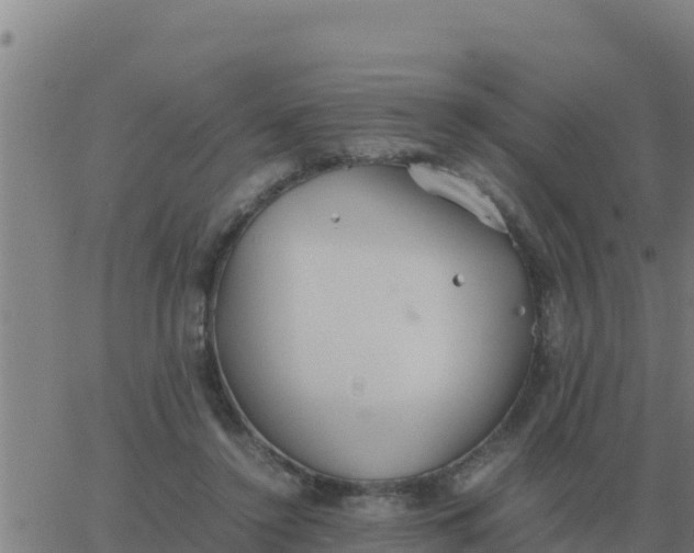 X0000062850356200601272047