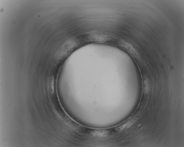 X0000062850358200601272047