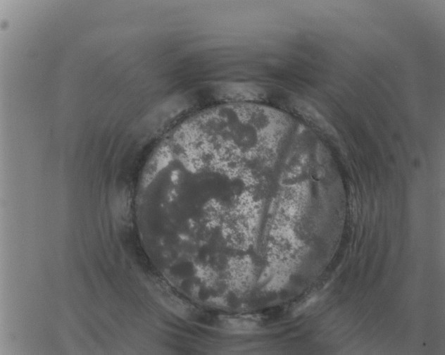 X0000062850359200601272047