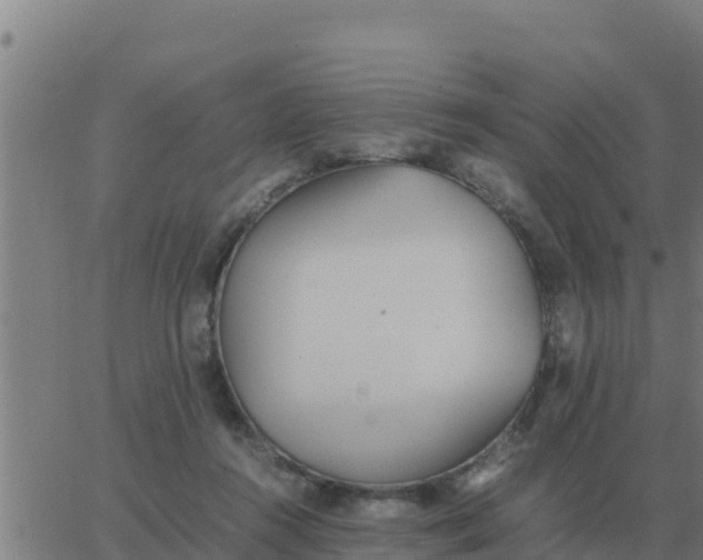 X0000062850360200601272047