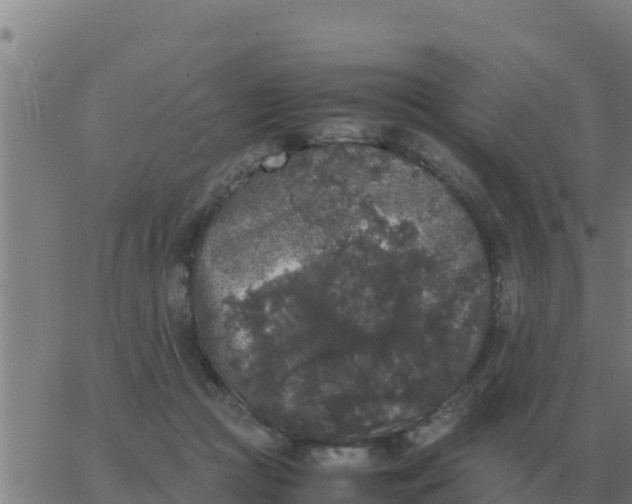 X0000062850361200601272047