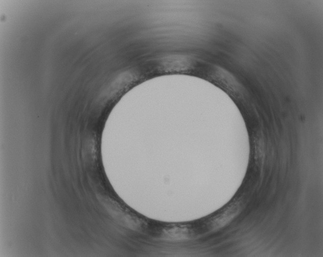 X0000062850362200601272047