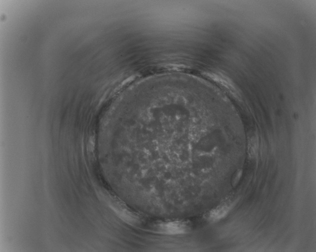 X0000062850365200601272047