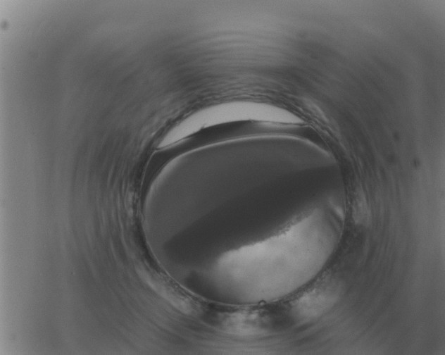 X0000062850366200601272047