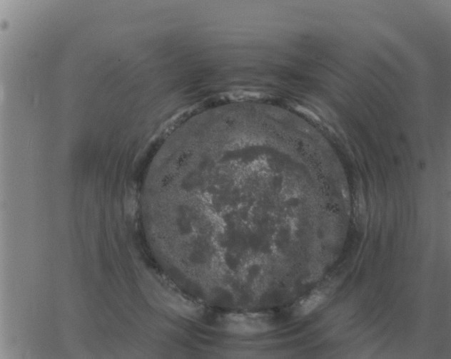 X0000062850367200601272047