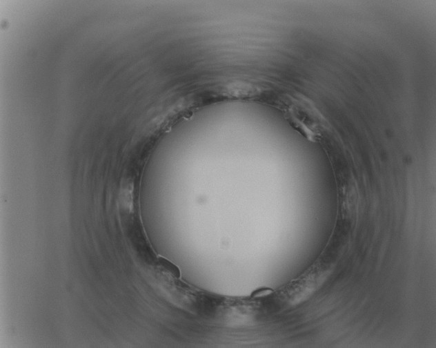 X0000062850368200601272047