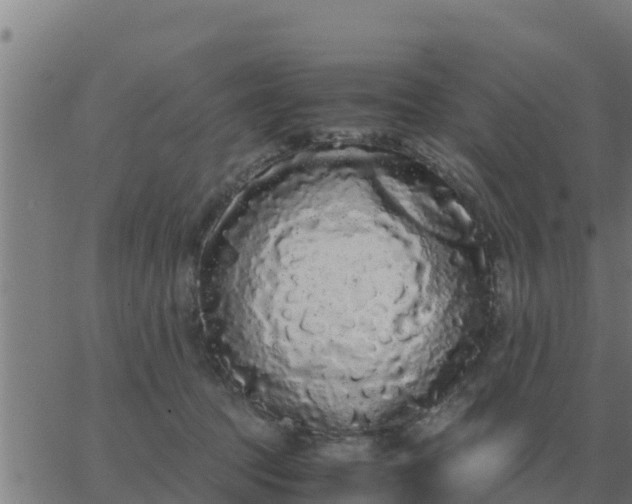 X0000062850369200601272047