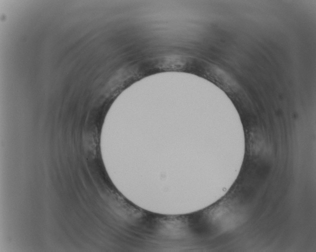 X0000062850370200601272047