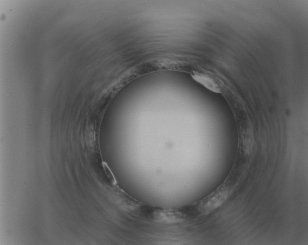 X0000062850372200601272047