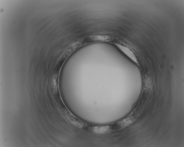 X0000062850373200601272047