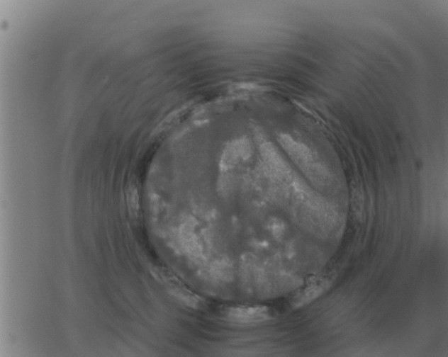 X0000062850375200601272047