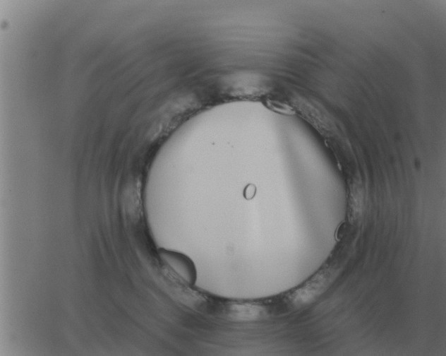 X0000062850376200601272047