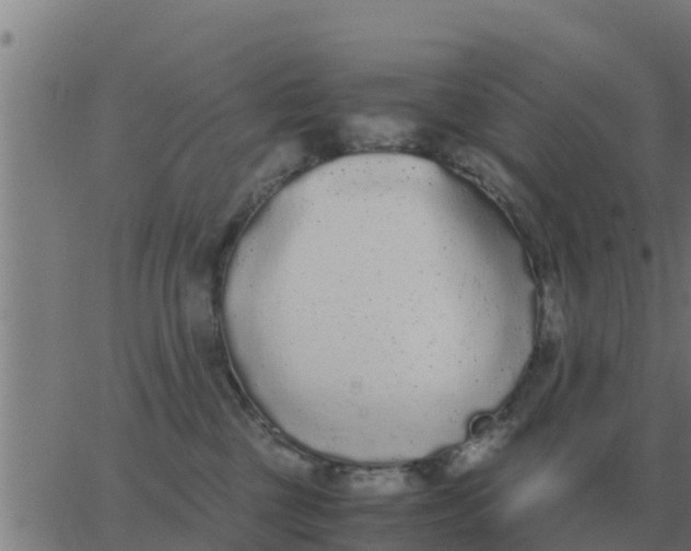 X0000062850377200601272047