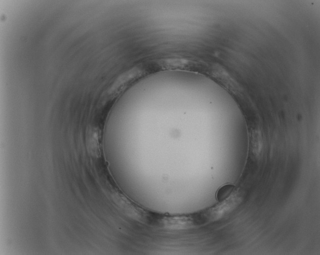 X0000062850378200601272047