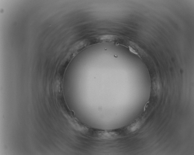 X0000062850379200601272047