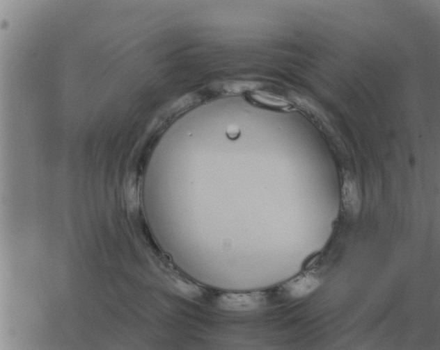 X0000062850381200601272047