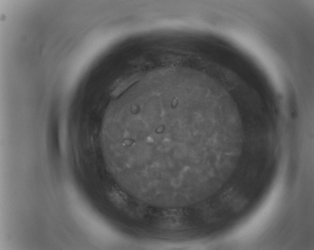 X0000062850382200601272047