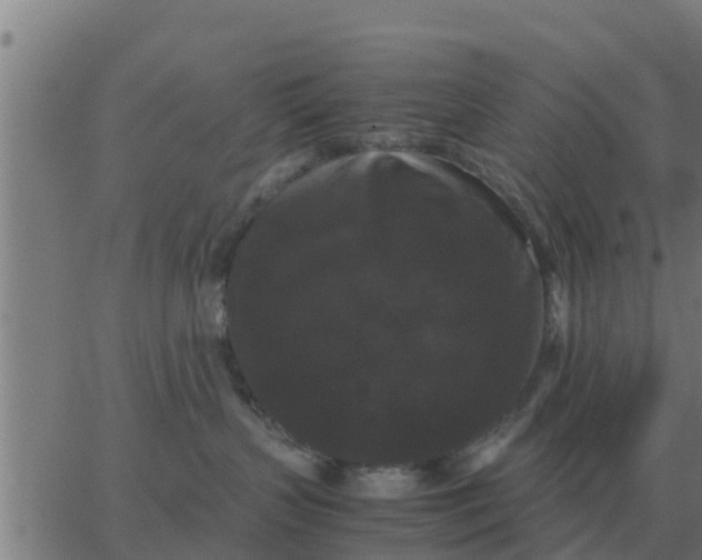 X0000062850383200601272047