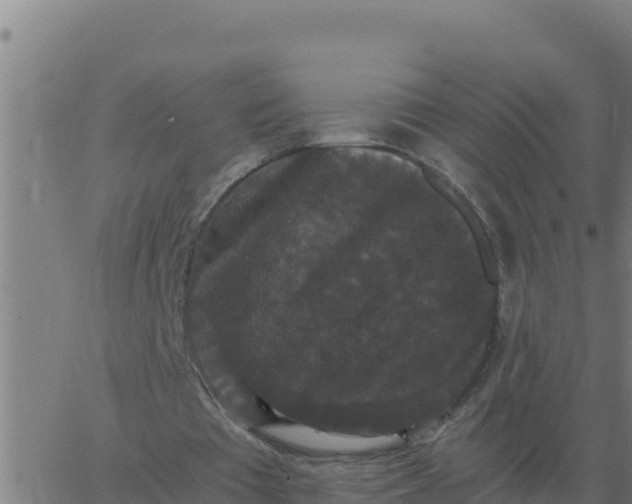 X0000062850385200601272047