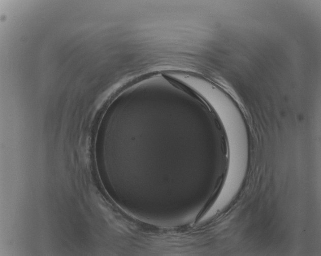 X0000062850387200601272047