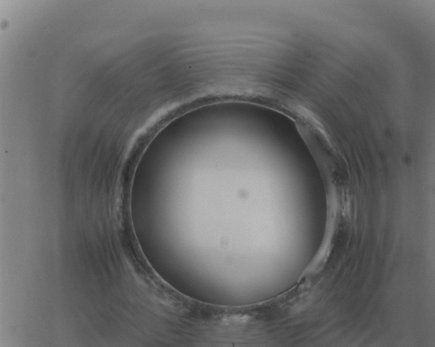 X0000062850388200601272047