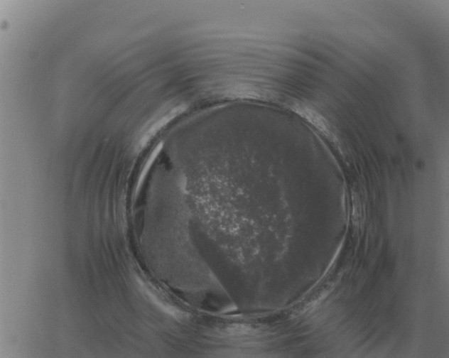 X0000062850390200601272047