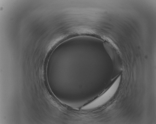 X0000062850391200601272047