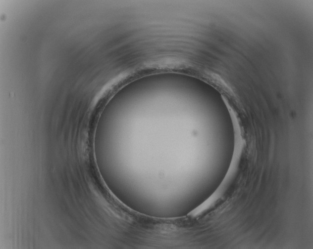 X0000062850392200601272047