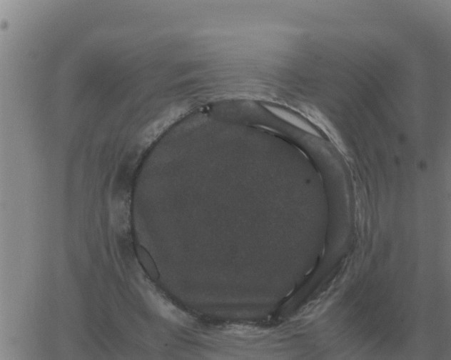 X0000062850393200601272046